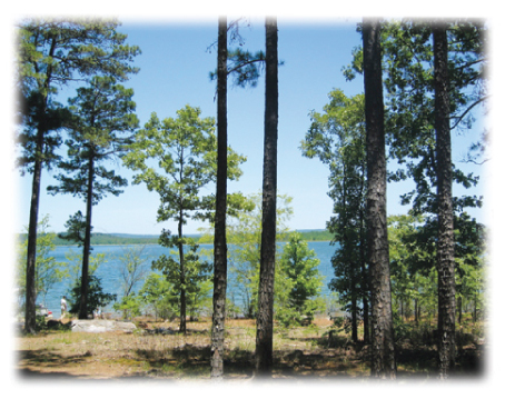 Beautiful Greers Ferry Lake